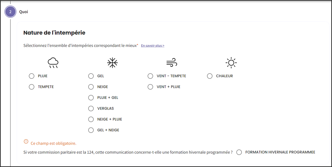 Screenshot to choose type of bad weather, which is compulsory. Icons of raining cloud, snow flake, wind and sun.